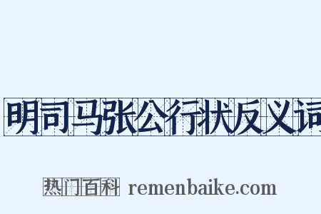 明司马张公行状反义词是什么意思的图片